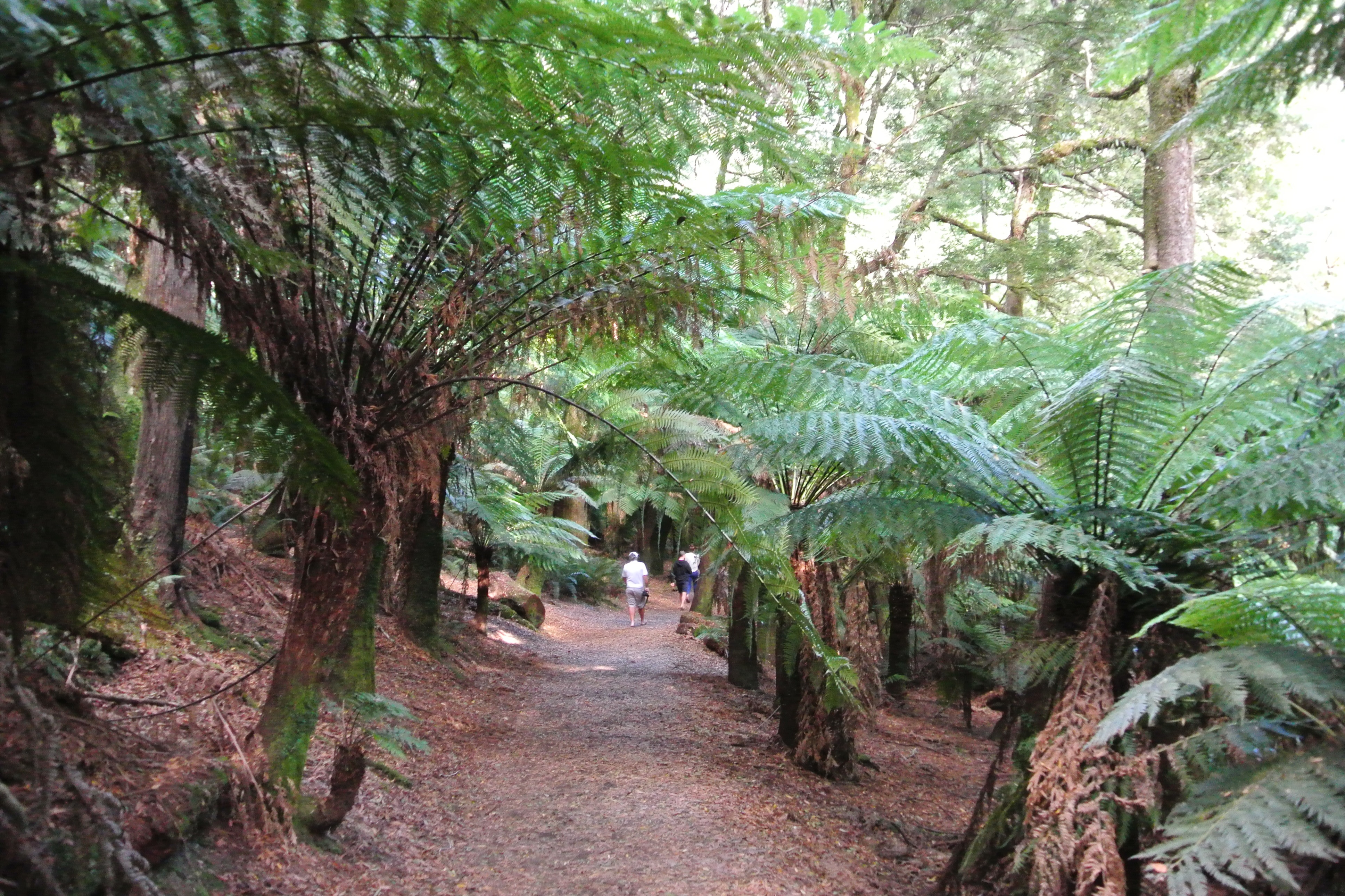 Tasmanien